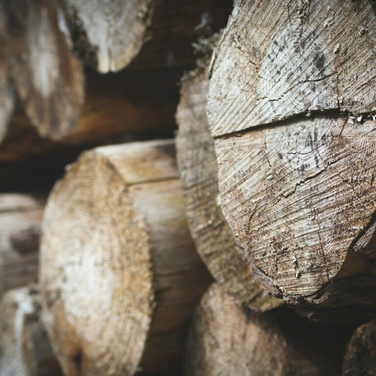jon-butterworth-_kjGPlM5YfA-unsplash