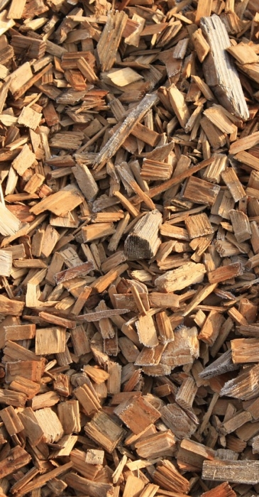 geralt-wood-567573_1280