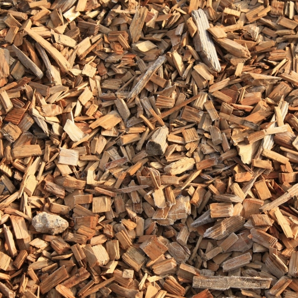 geralt-wood-567573_1280