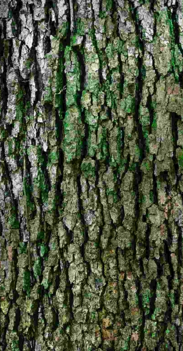 raymond-culbertson-xnQaH8qF0Rc-unsplash (1)
